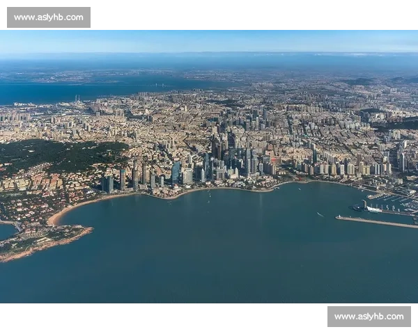 上海与青岛城市实力碰撞引发赛场巅峰对决全景观察深度解析与未来走向