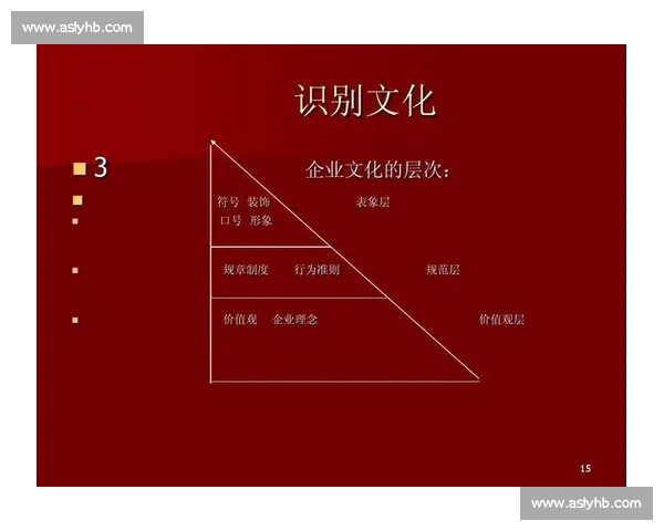 以方便与穆斯里穆视角下的生活方式与价值观对比研究社会文化影响分析